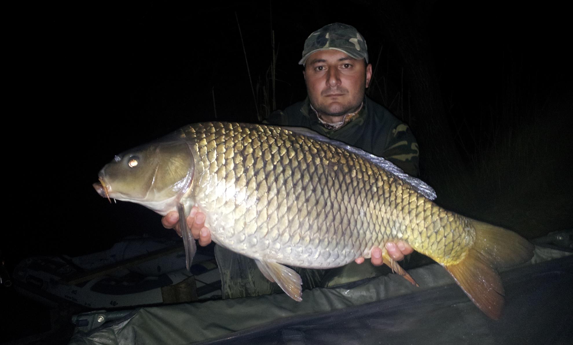 Tancabesti 28 - 29 mar. - 20140328213840.jpg